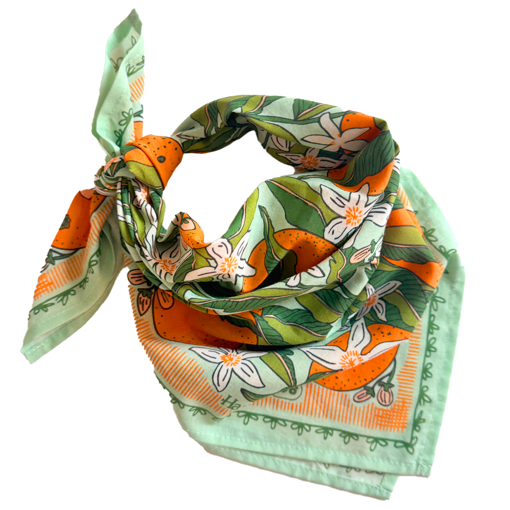 Zoe Bandana