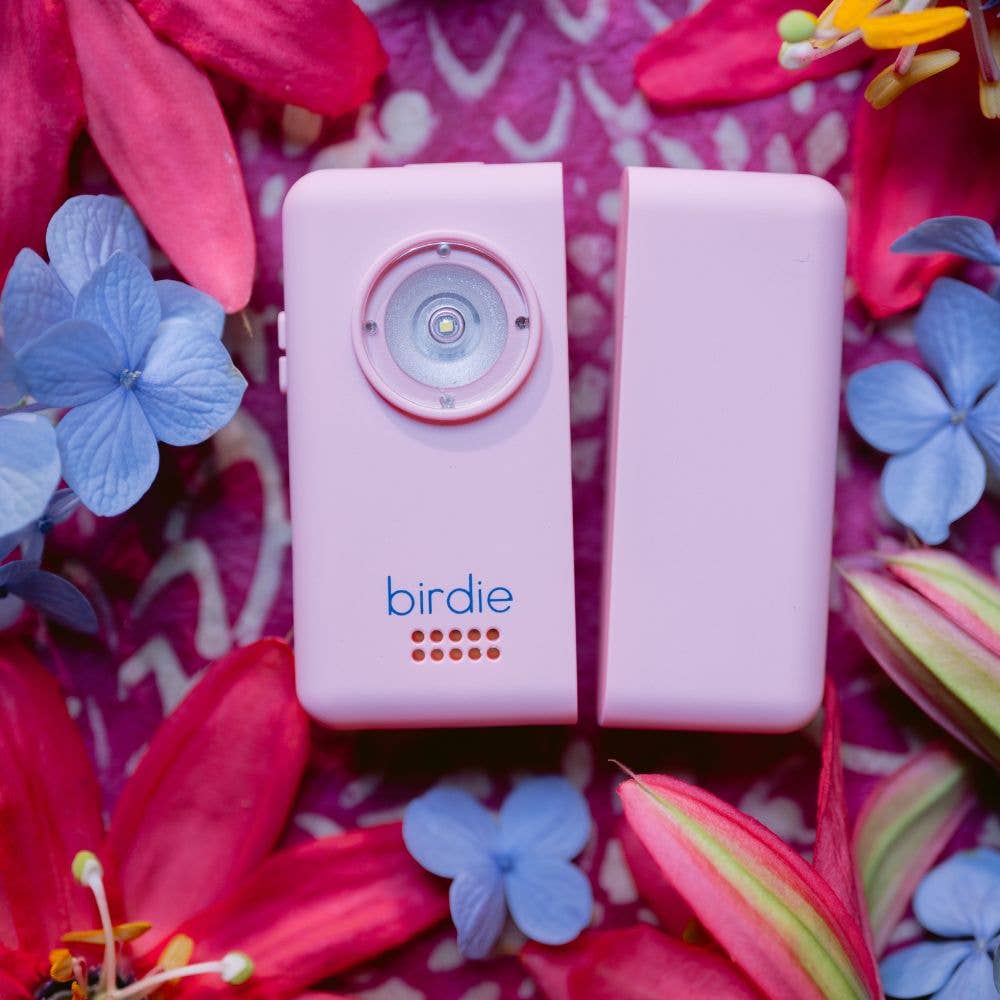Birdie Box Door Alarm in Aqua