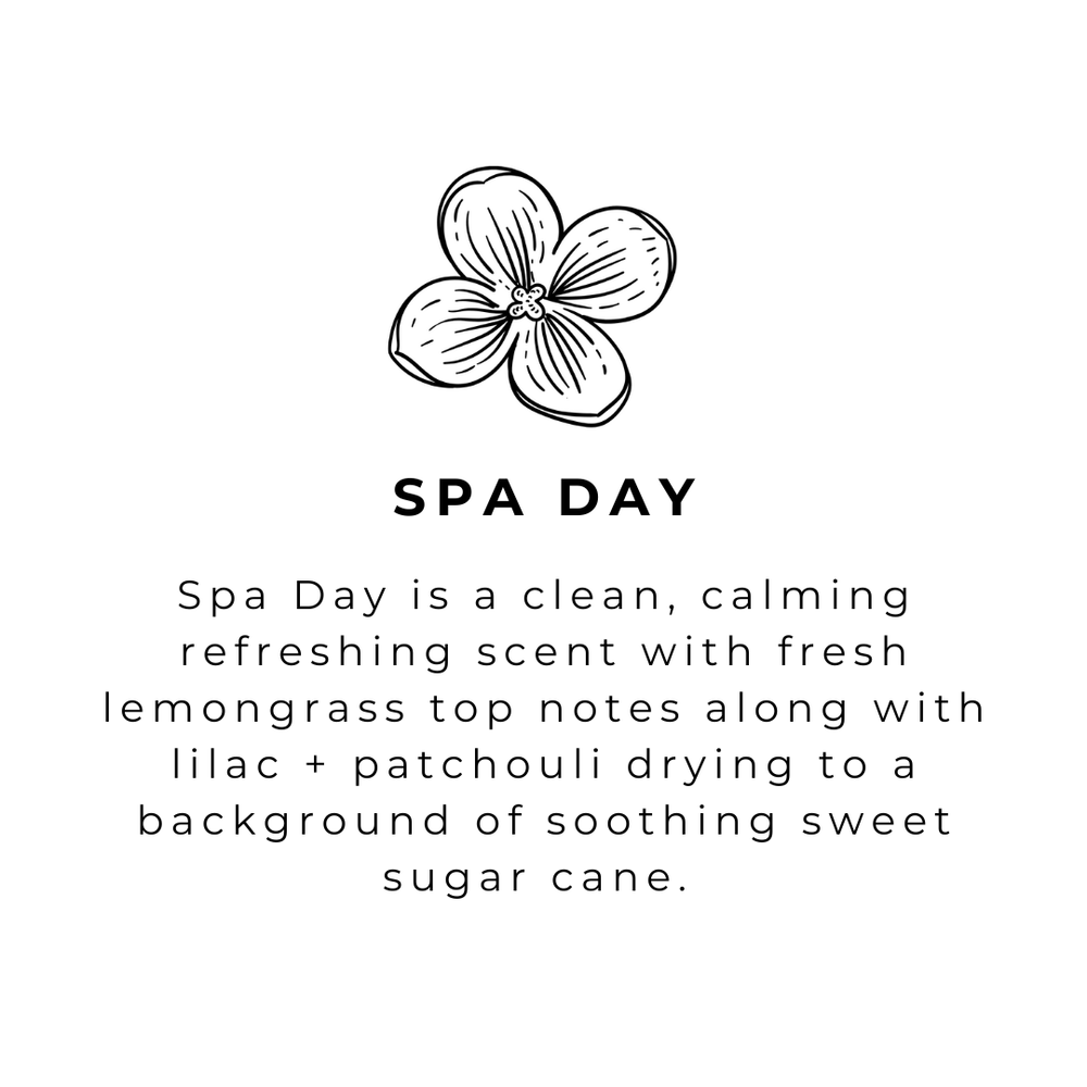 Spa Day Handmade Hand Wash (16oz)
