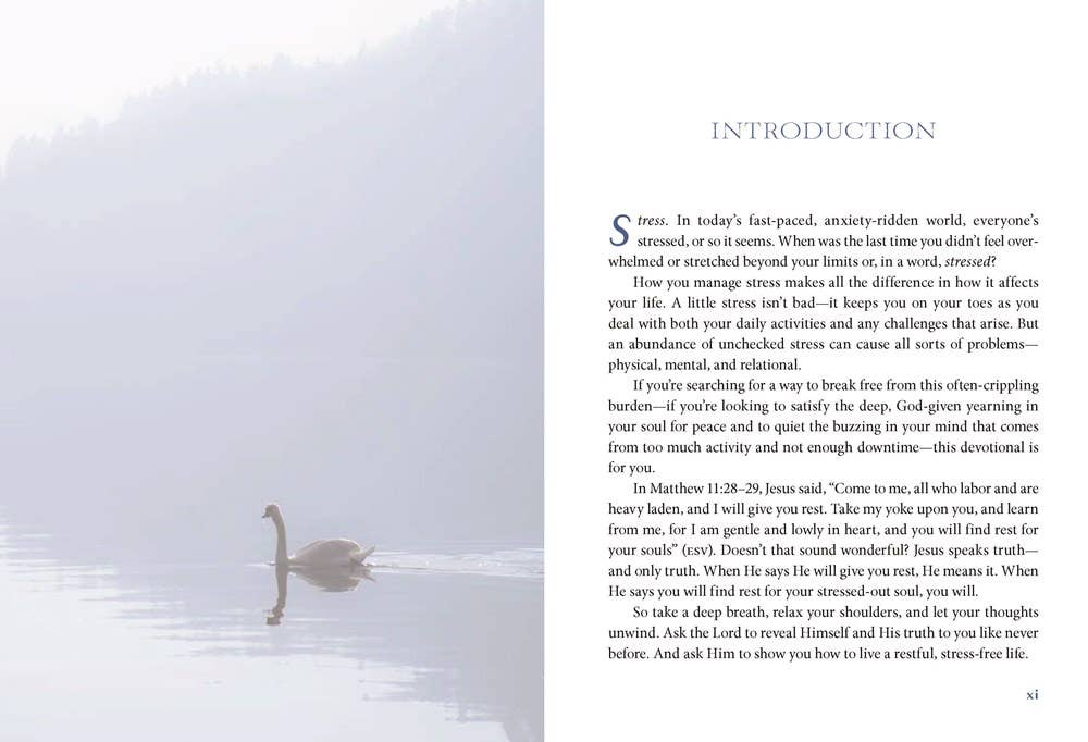 The Stress Less Devotional : 100 Days to Embrace Rest and Re