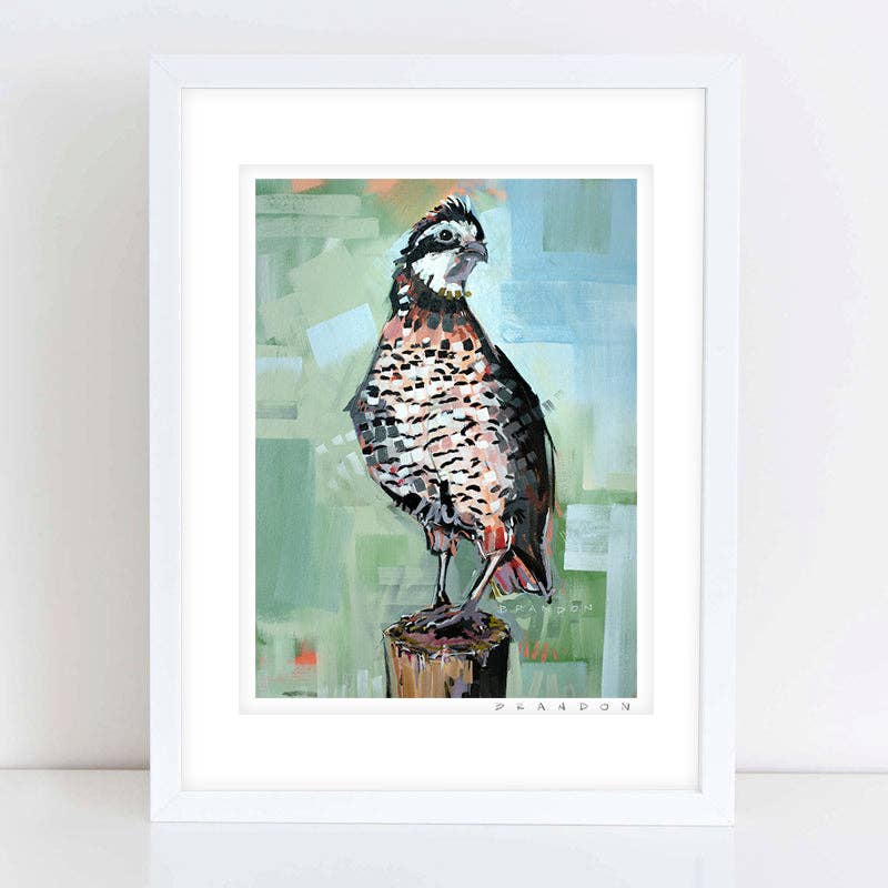 Bobwhite Quail Print by Brandon Thomas- 8x10