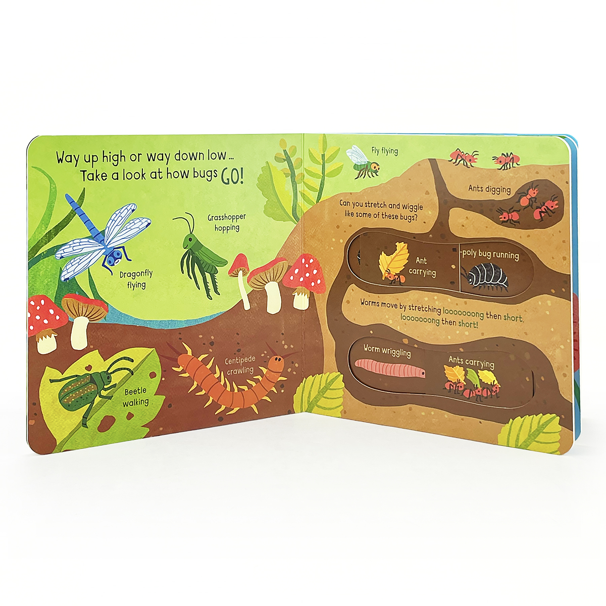 Bugs Interactive Board Book