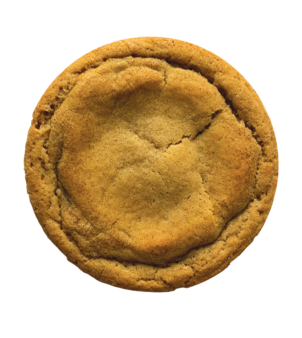 Snickerdoodle Cookie