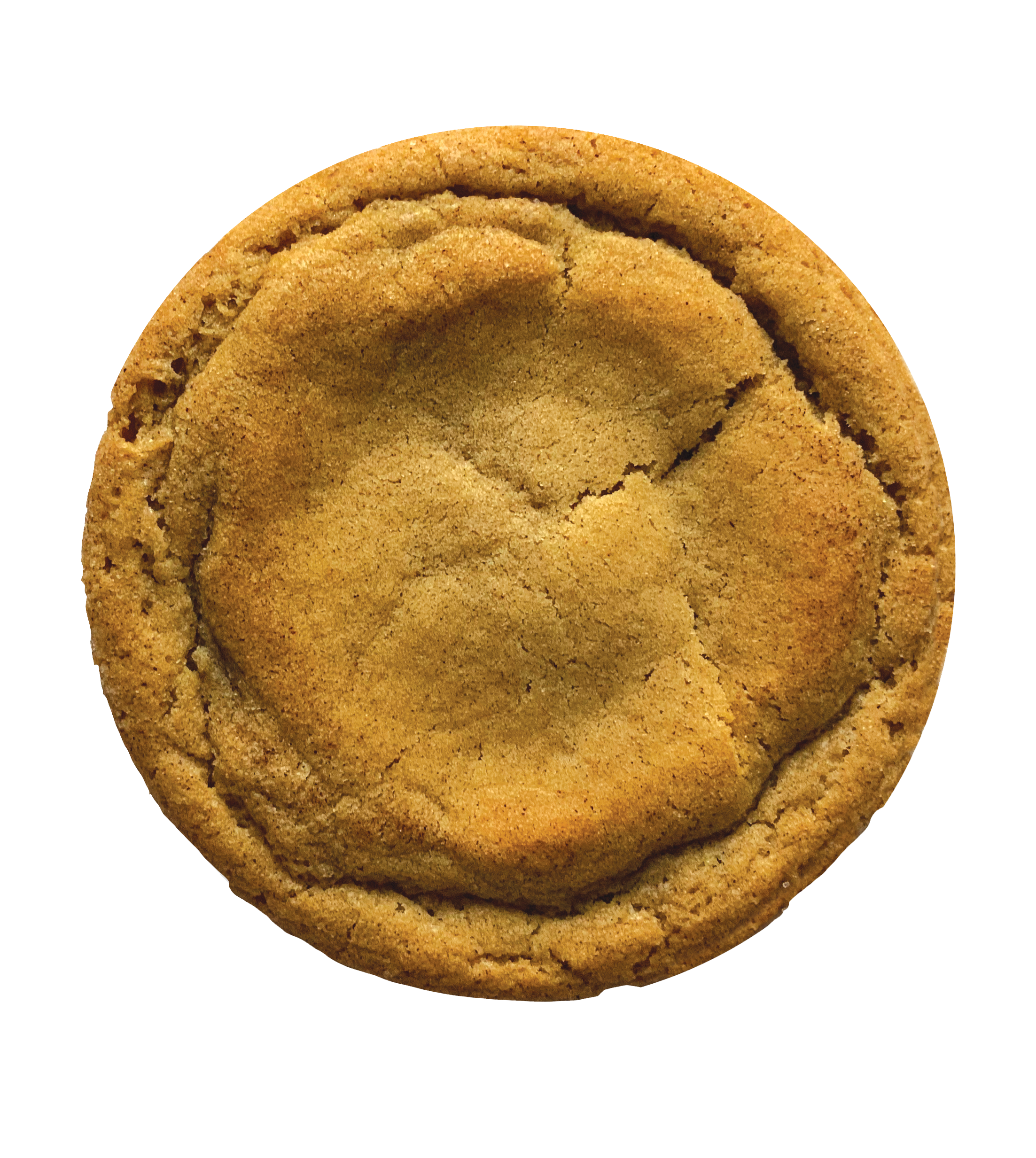 Snickerdoodle Cookie