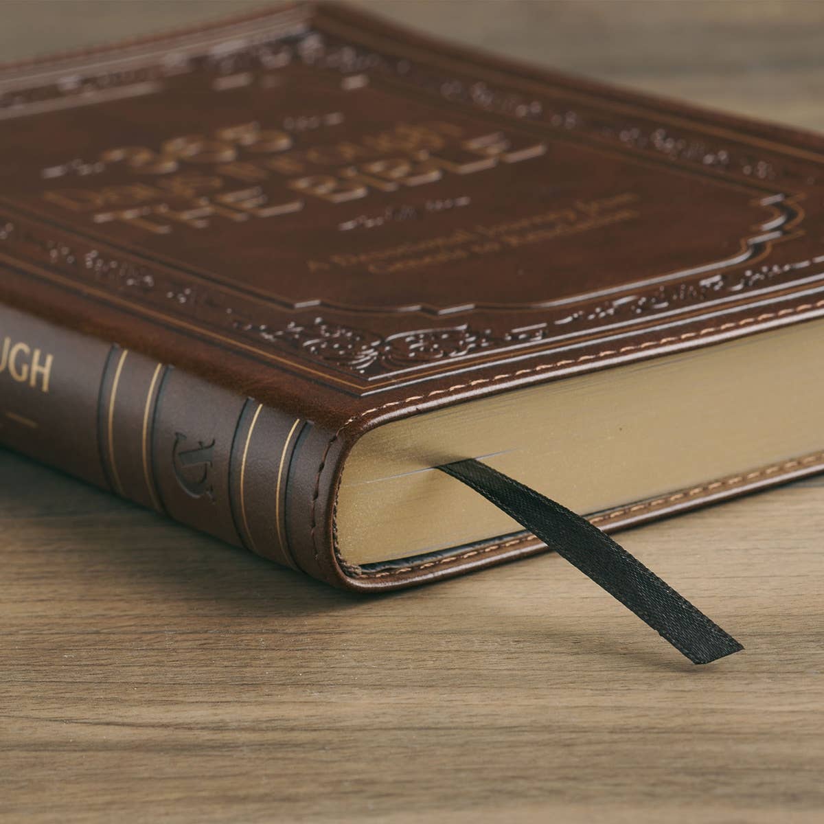 365 Days Through the Bible; A Devotional Journey