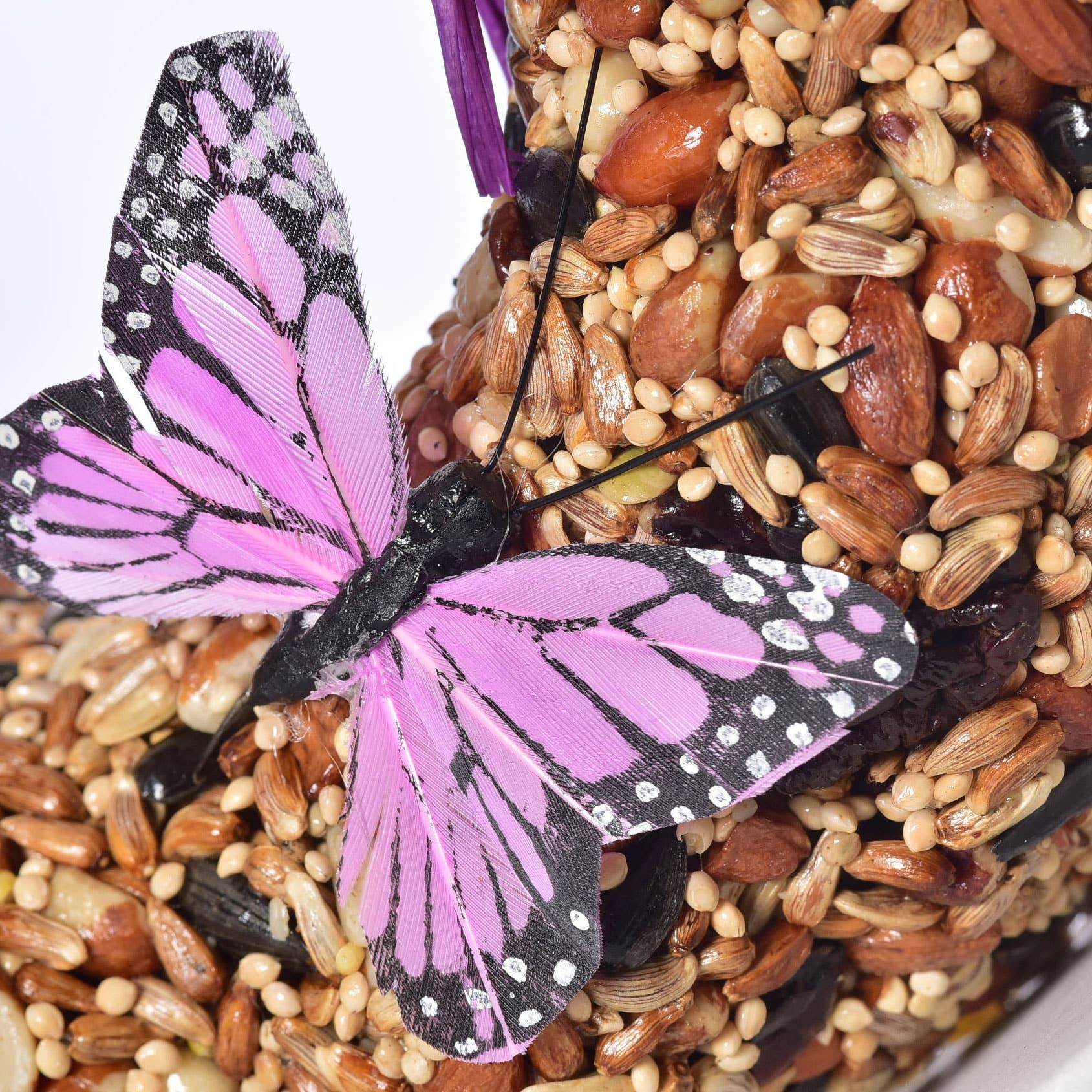 Wildfare Birdseed Wreath