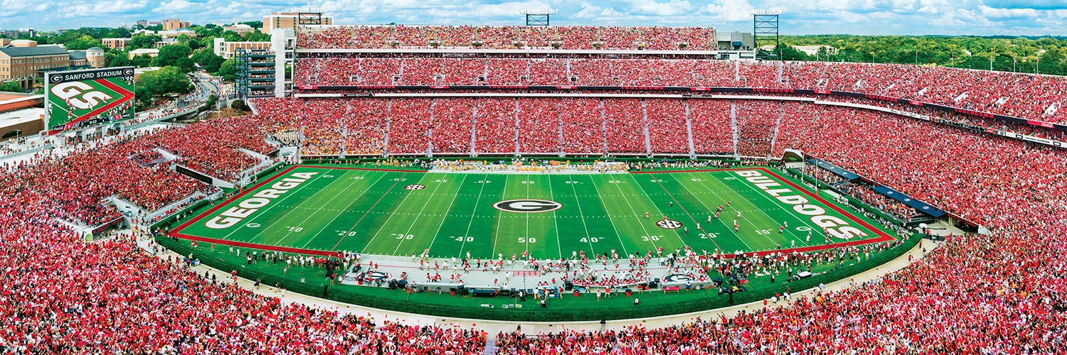 University of Georgia Panoramic Puzzle