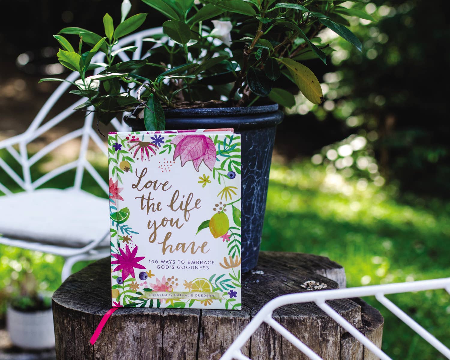 Love The Life You Have