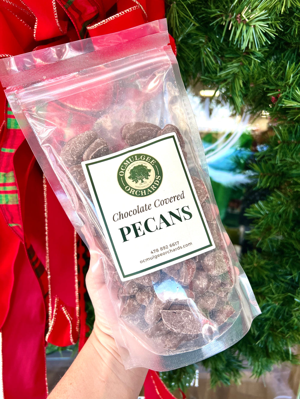 Ocmulgee Orchards Chocolate Covered Pecans (16oz)