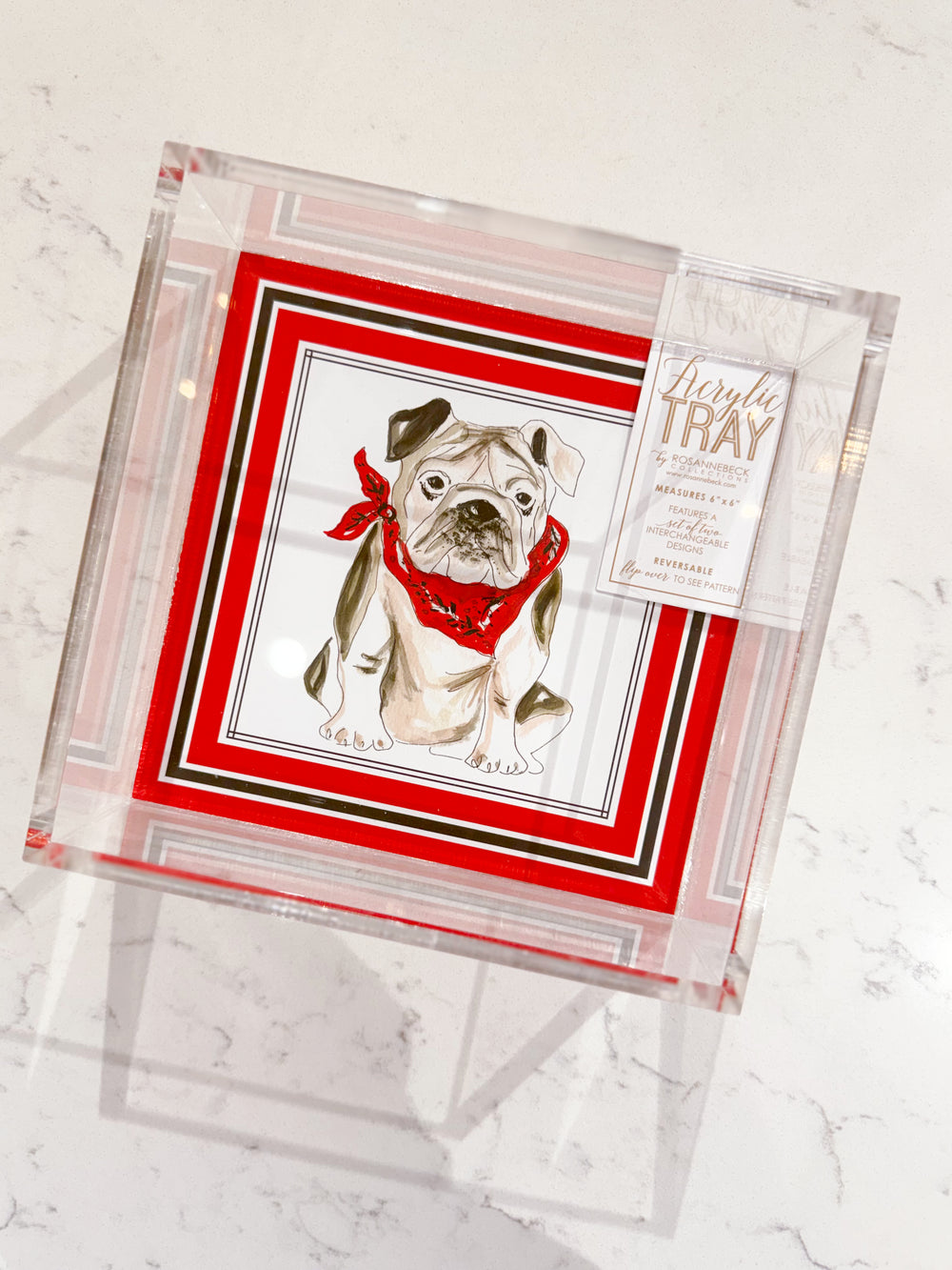 Clear acrylic tray with a dog illustration and red border 