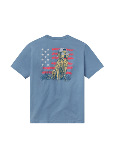 dog with hat and american flag on blue tee