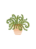Potted plant attachment with green leaves on a white background