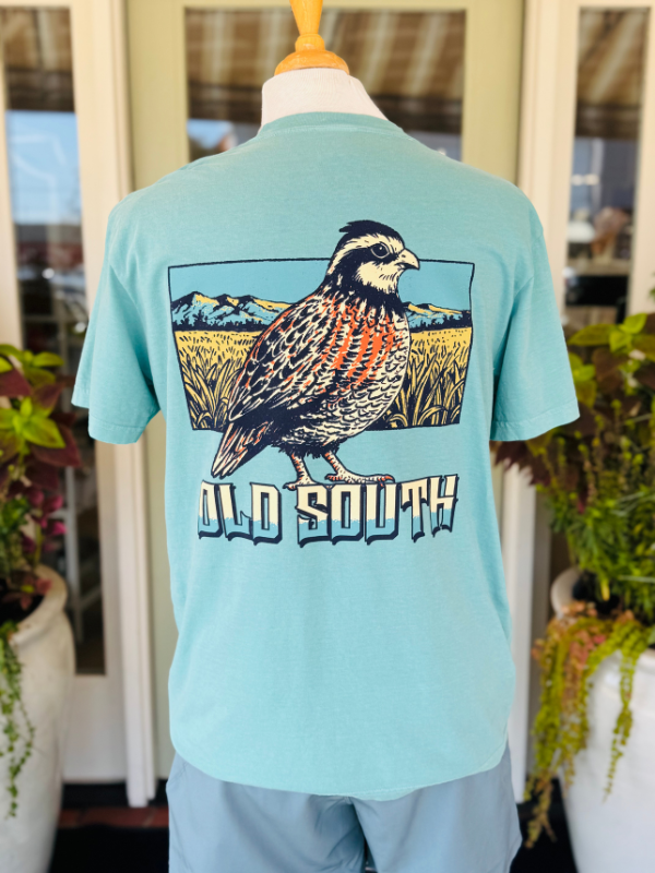colorful quail pocket tee on seafoam shirt