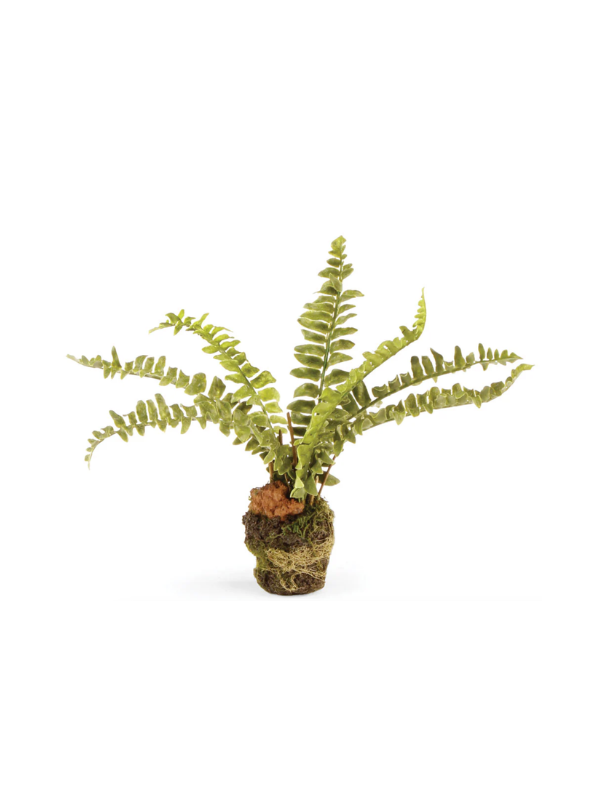 fake Boston Fern Drop-In 7.5"