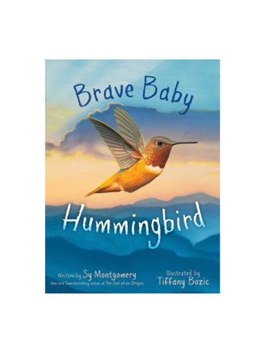 Brave Baby Hummingbird children's book gift 