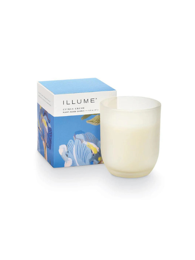 Citrus Crush Baby Boxed Glass Candle blue