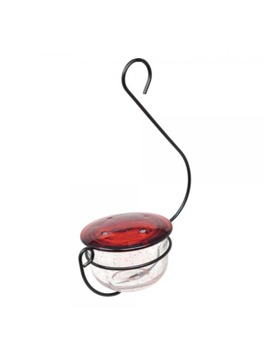Clear Glass Hanging Hummingbird Feeder outdoors bird watching 