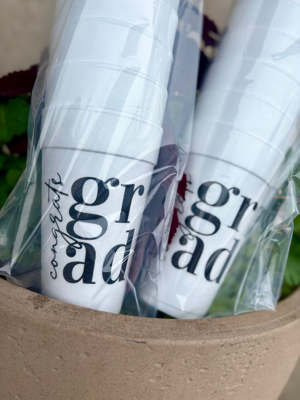 Congrats Grad - Set of 10 Stryofoam Cups
