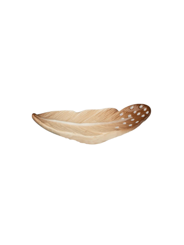 brown feather