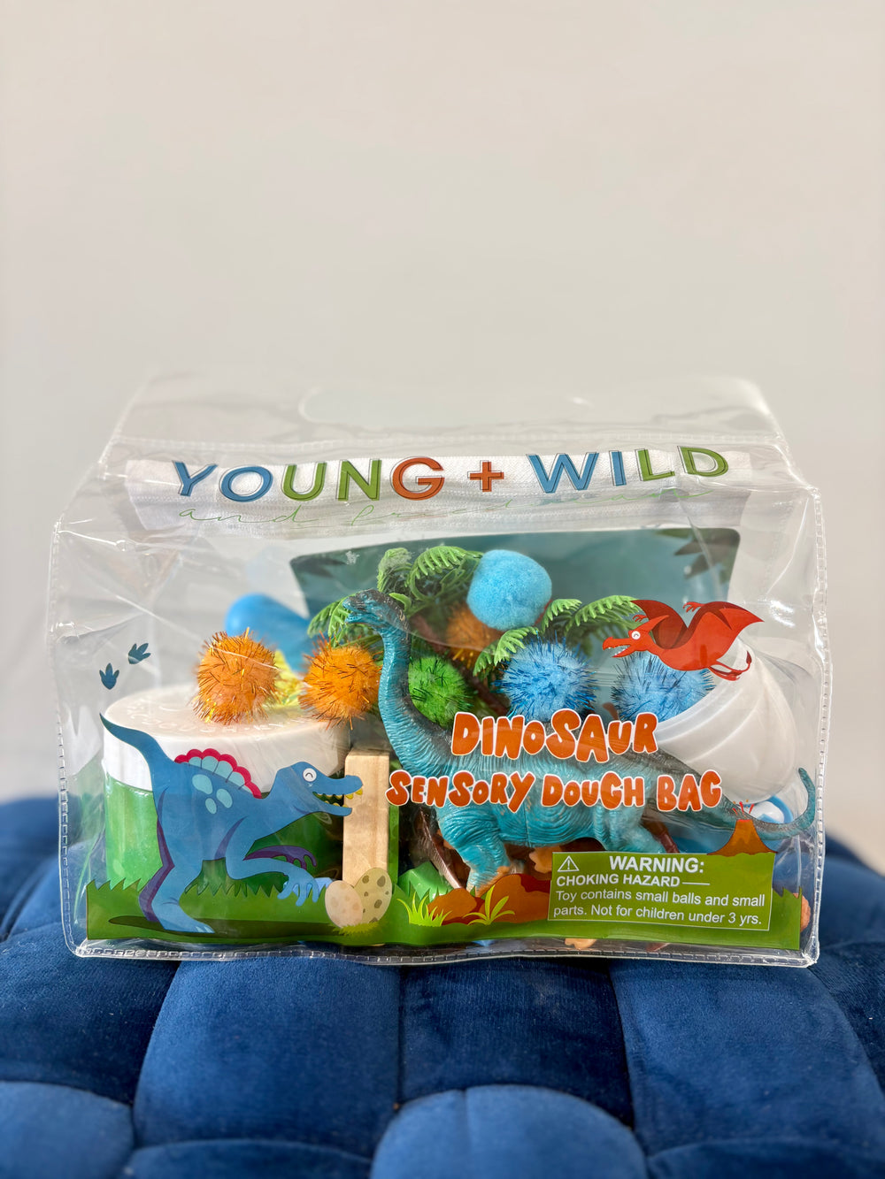 Dinosaur Sensory Dough Bag toy play screen free children kids 
