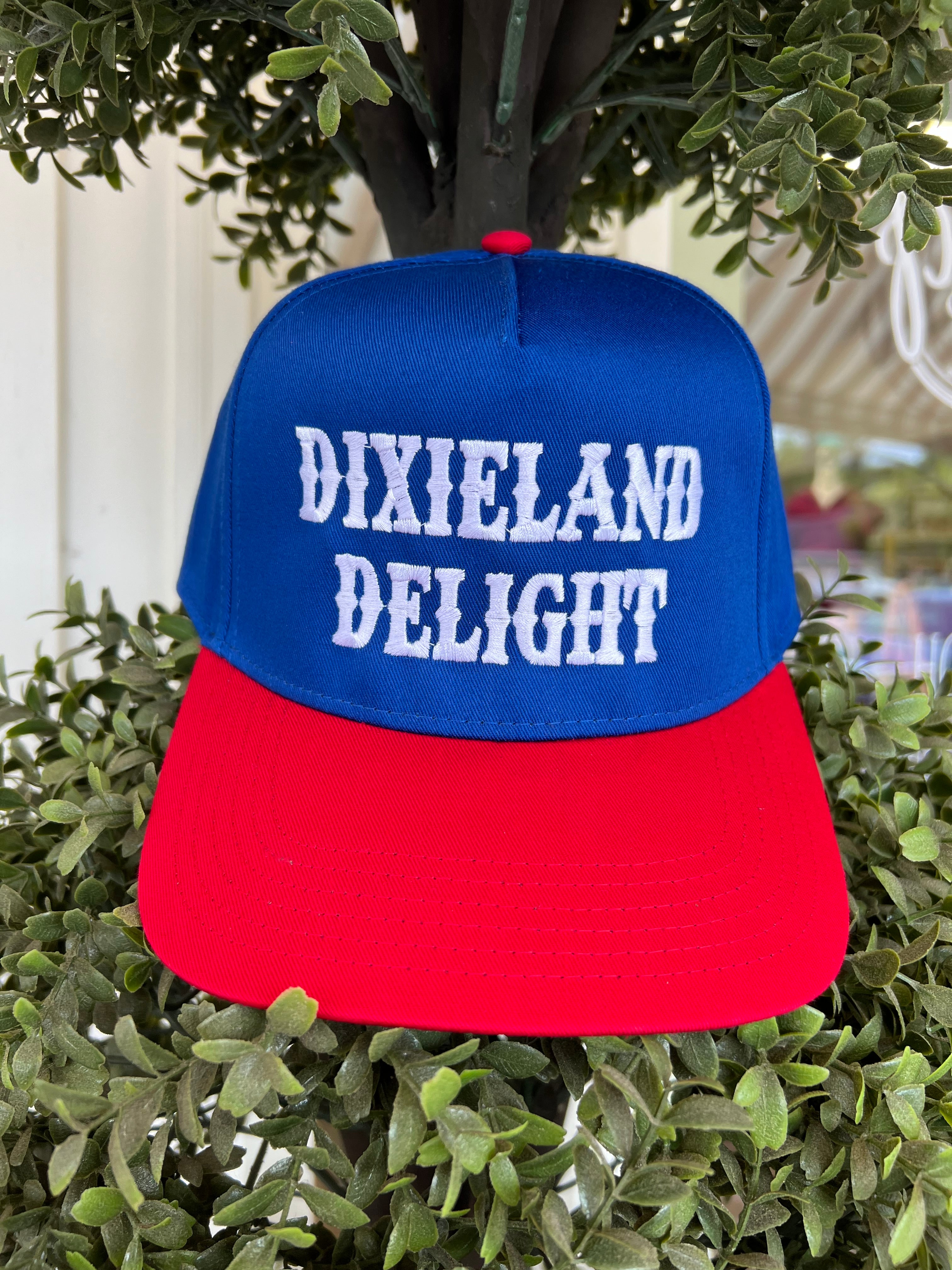 Dixieland Delight Hat