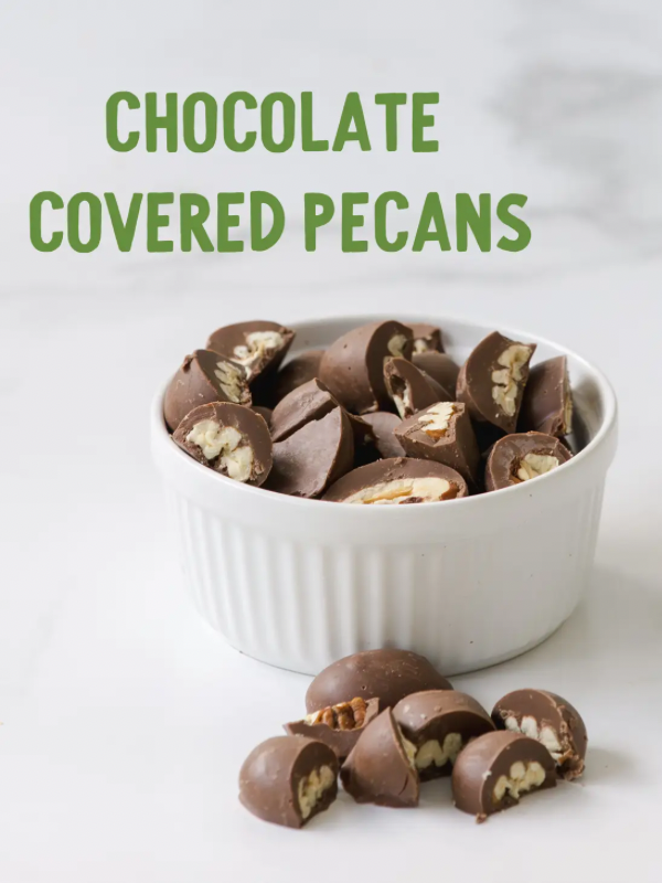 Chocolate Covered Pecans in Georgia Gift Tin