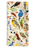 Kitchen tea towel with colorful bird and floral illustrations, featuring various songbirds and botanical details on a neutral background.