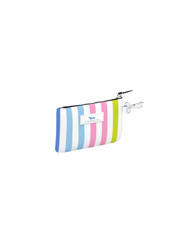 bright striped id case