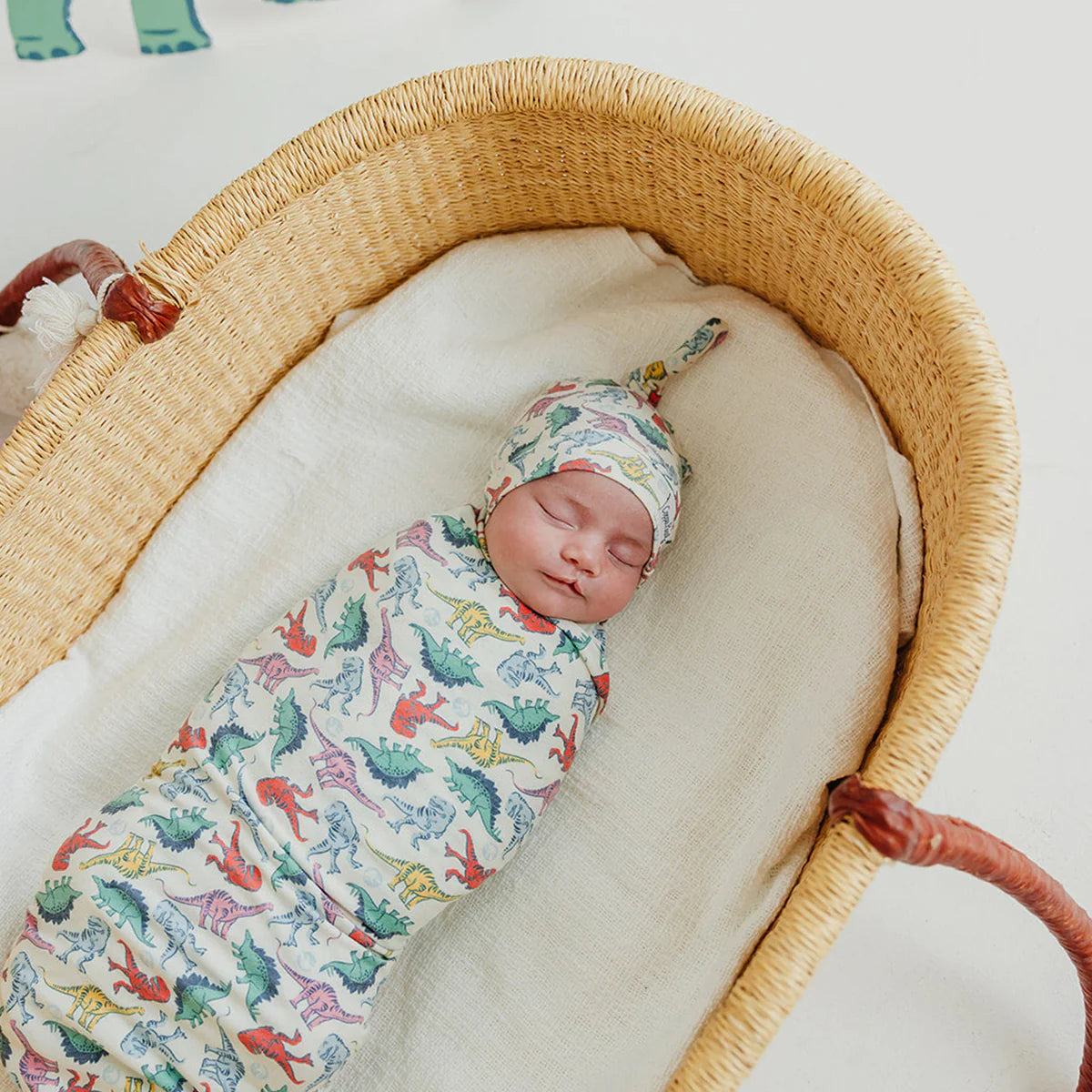 Dinosaurs of Jurassic Park Swaddle Blanket by Copper Pearl