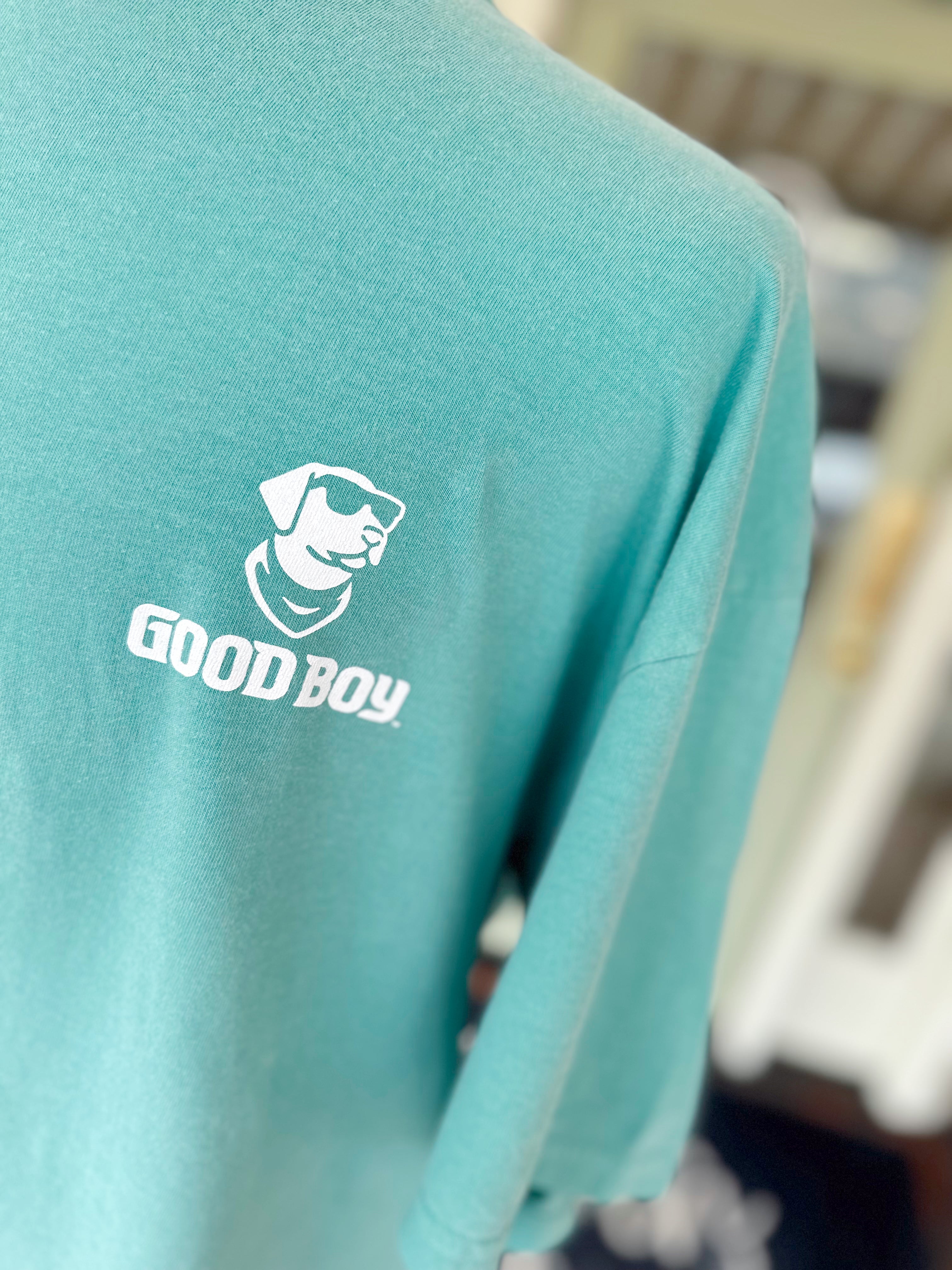 To Point in Seafoam By Good Boy