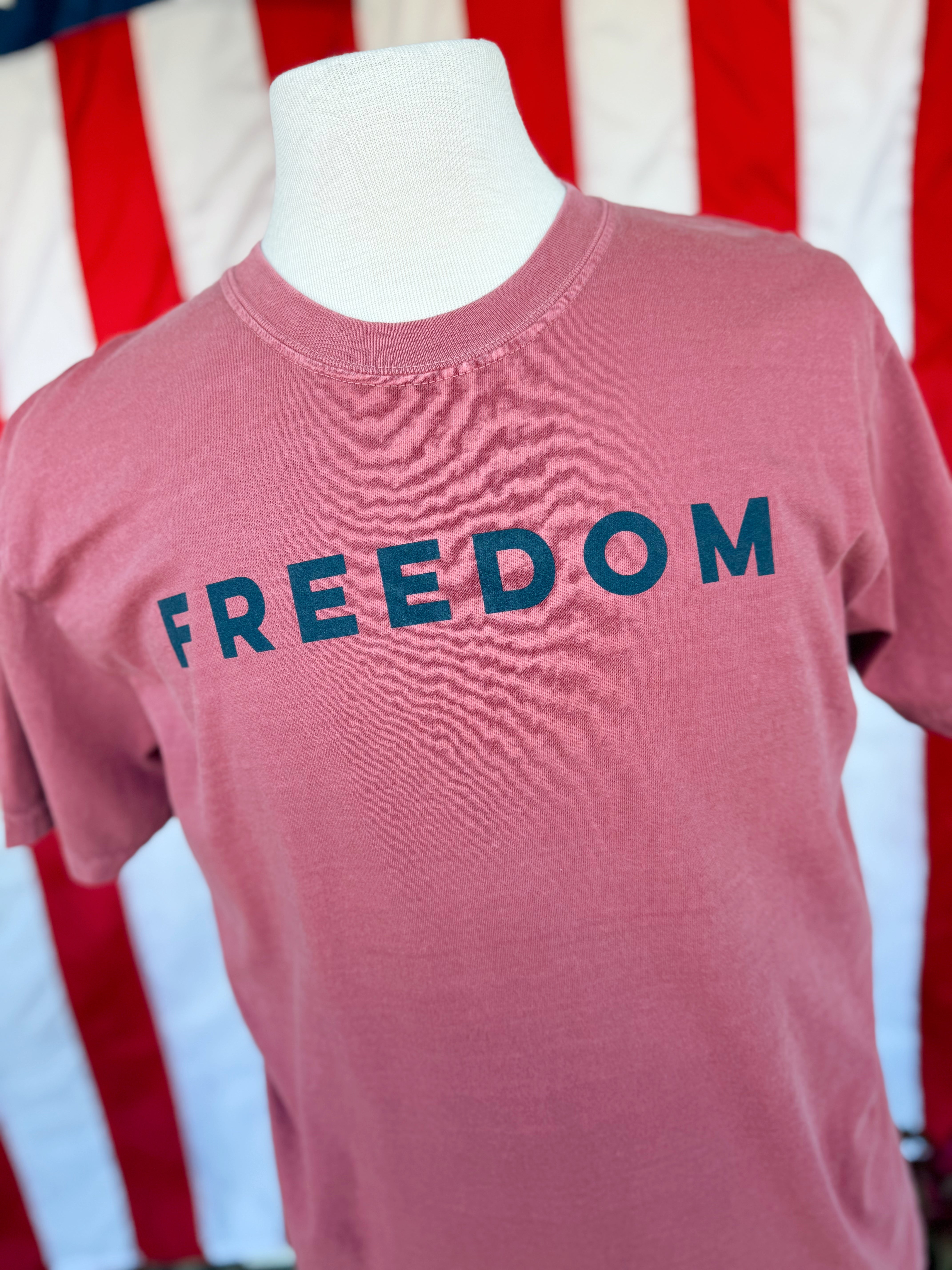 Freedom Tee in Brick Red