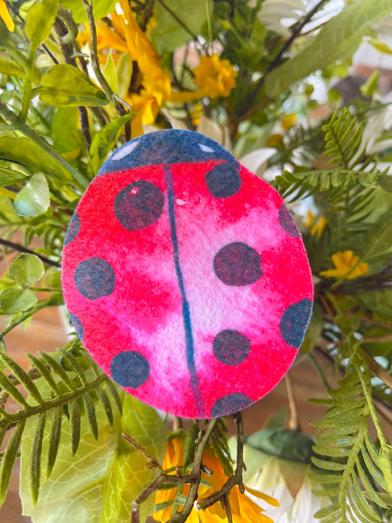 Ladybug Spring Sponge