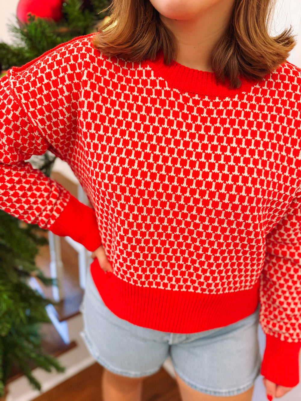 The Joy Red and White Sweater Top (S-L)