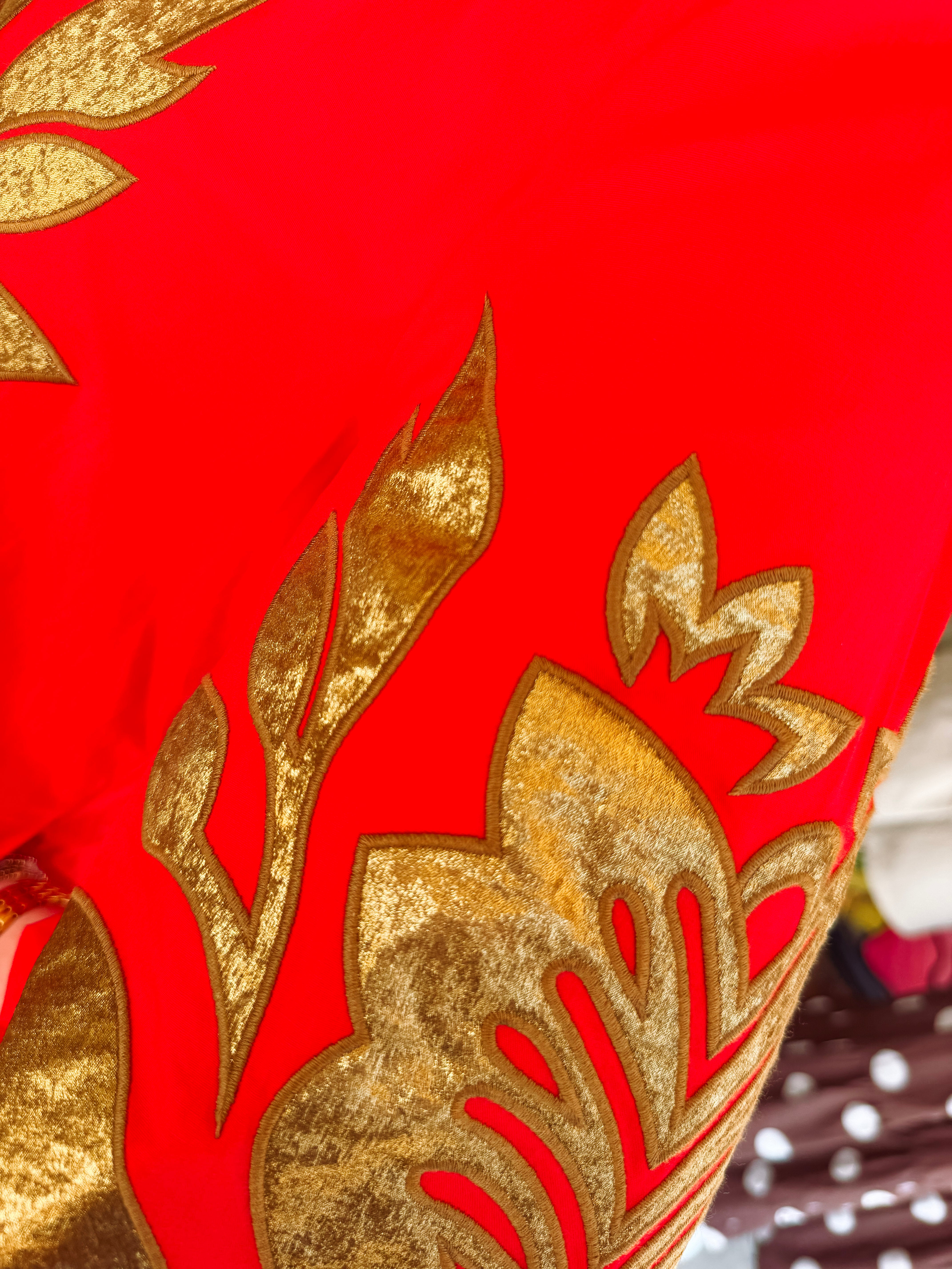 The Kellyn Floral Applique Dress in Red (S-L)