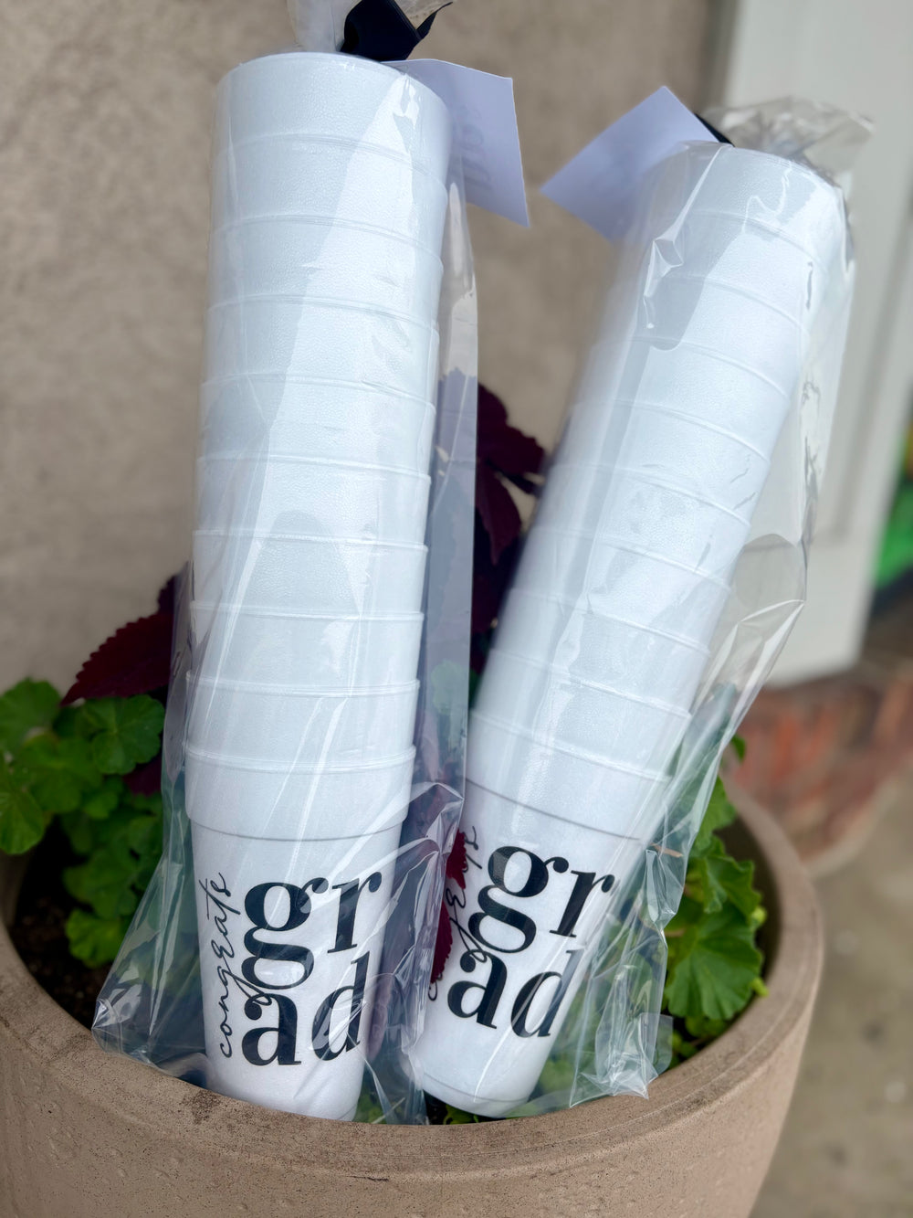 Congrats Grad - Set of 10 Styrofoam Cups