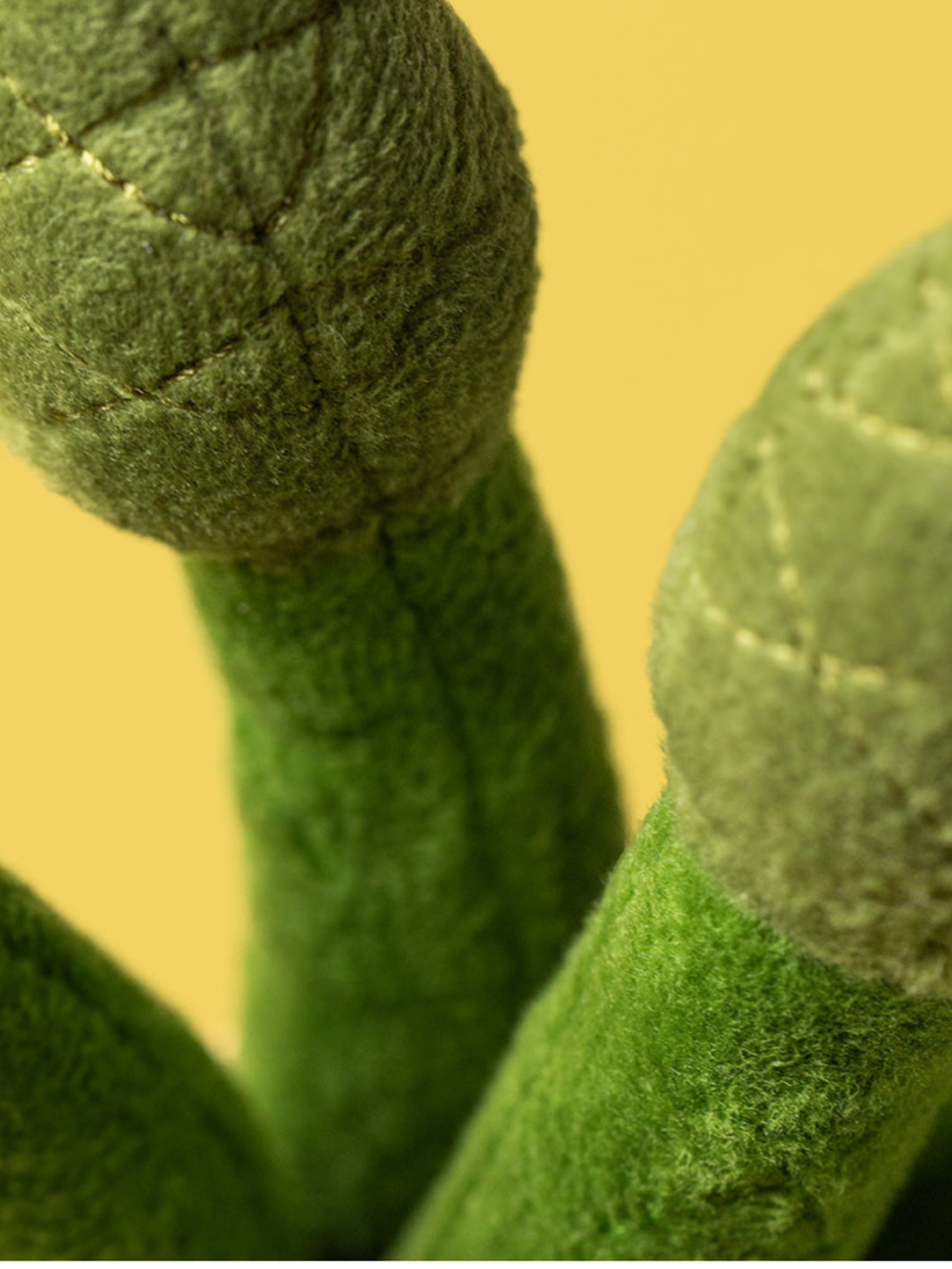 Close-up of green textured fabric 