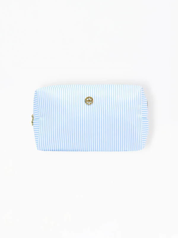 Light blue striped bag with gold hardware 