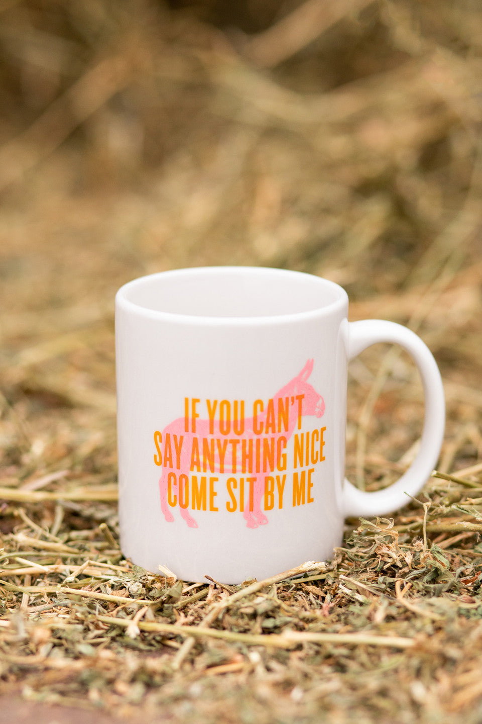 If You Can't Say Anything Nice Mug