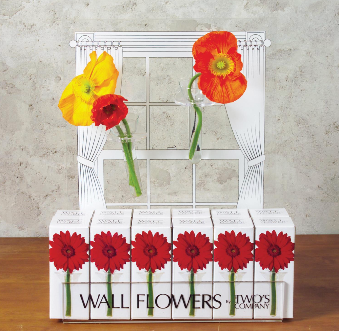 Hanging Wall Flower Vase