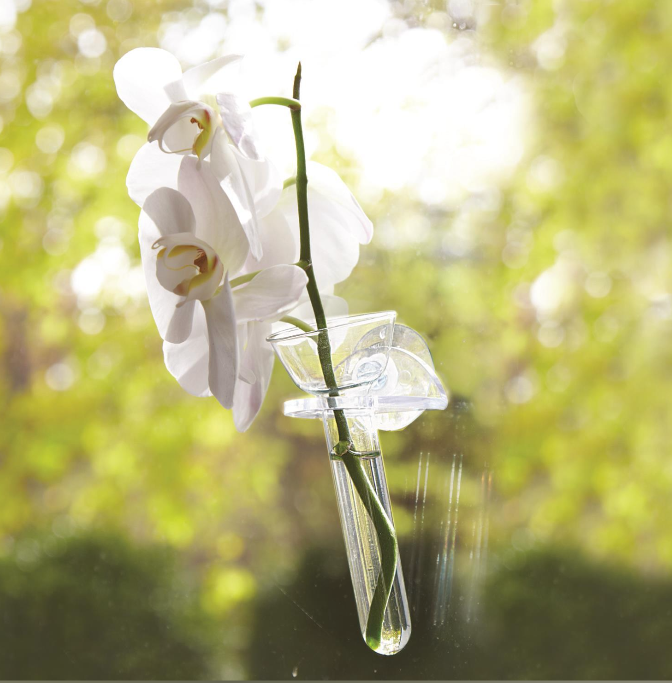 Hanging Wall Flower Vase