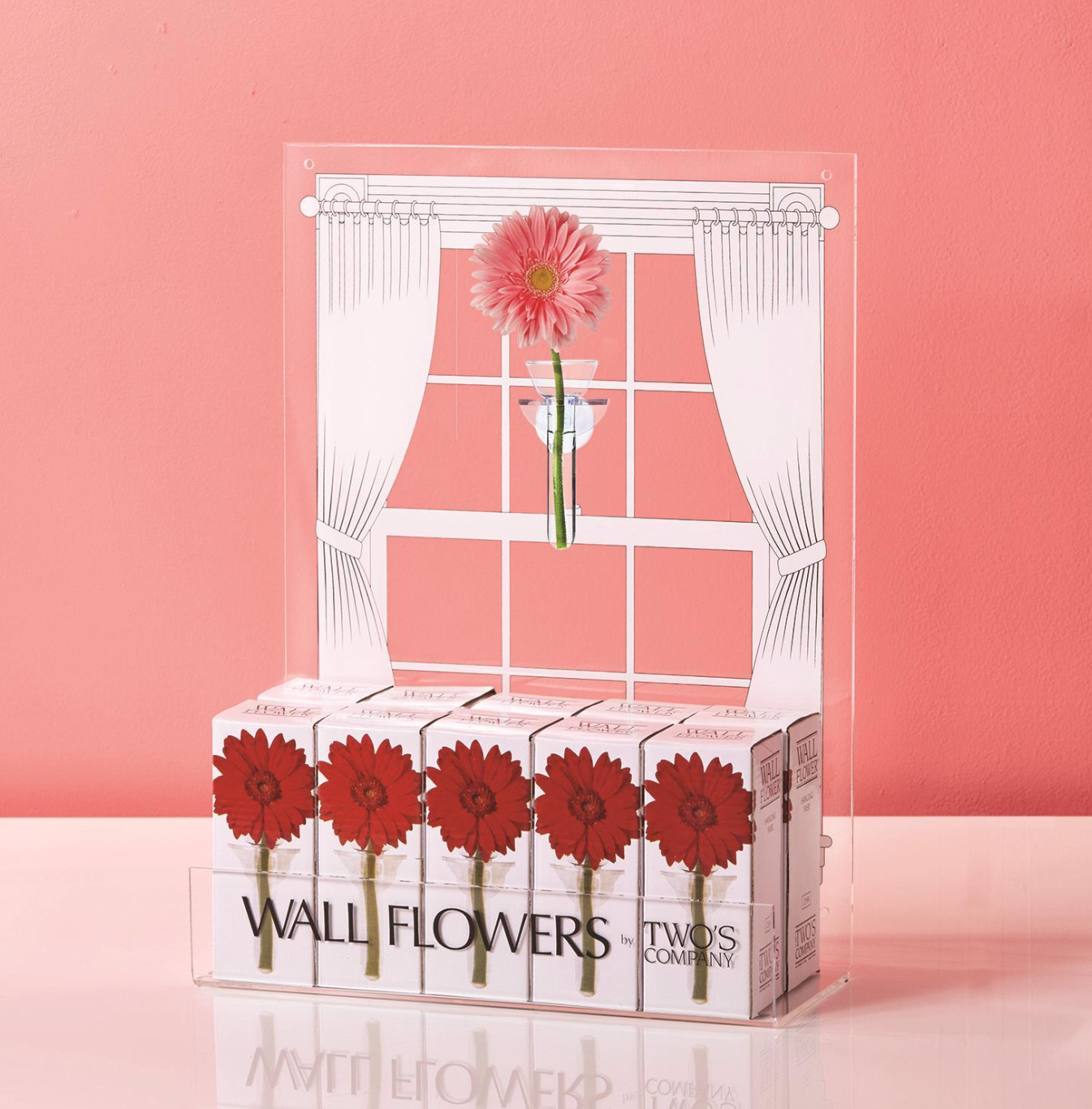 Hanging Wall Flower Vase