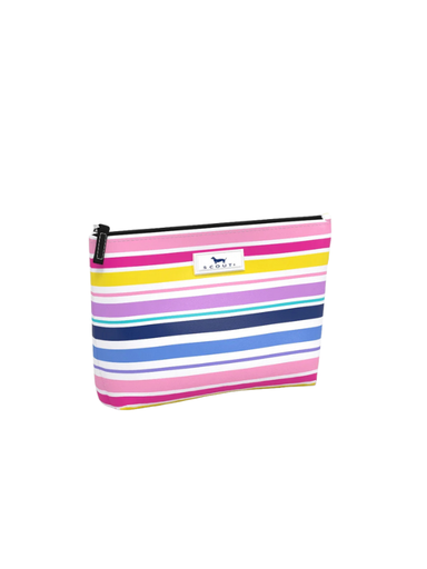 Colorful striped small pouch with zipper closure