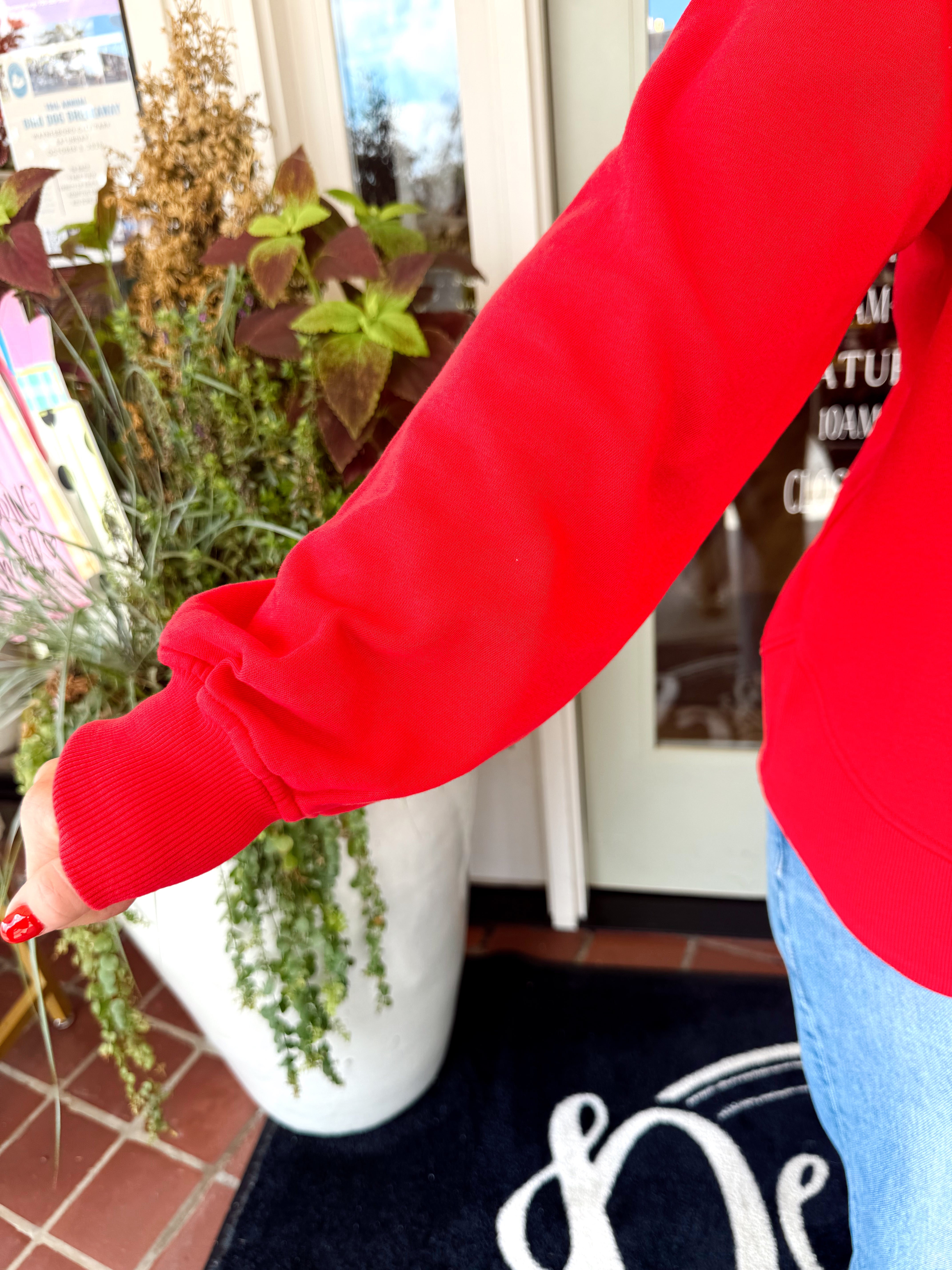 The Scarlett Crewneck Top (S-2X)