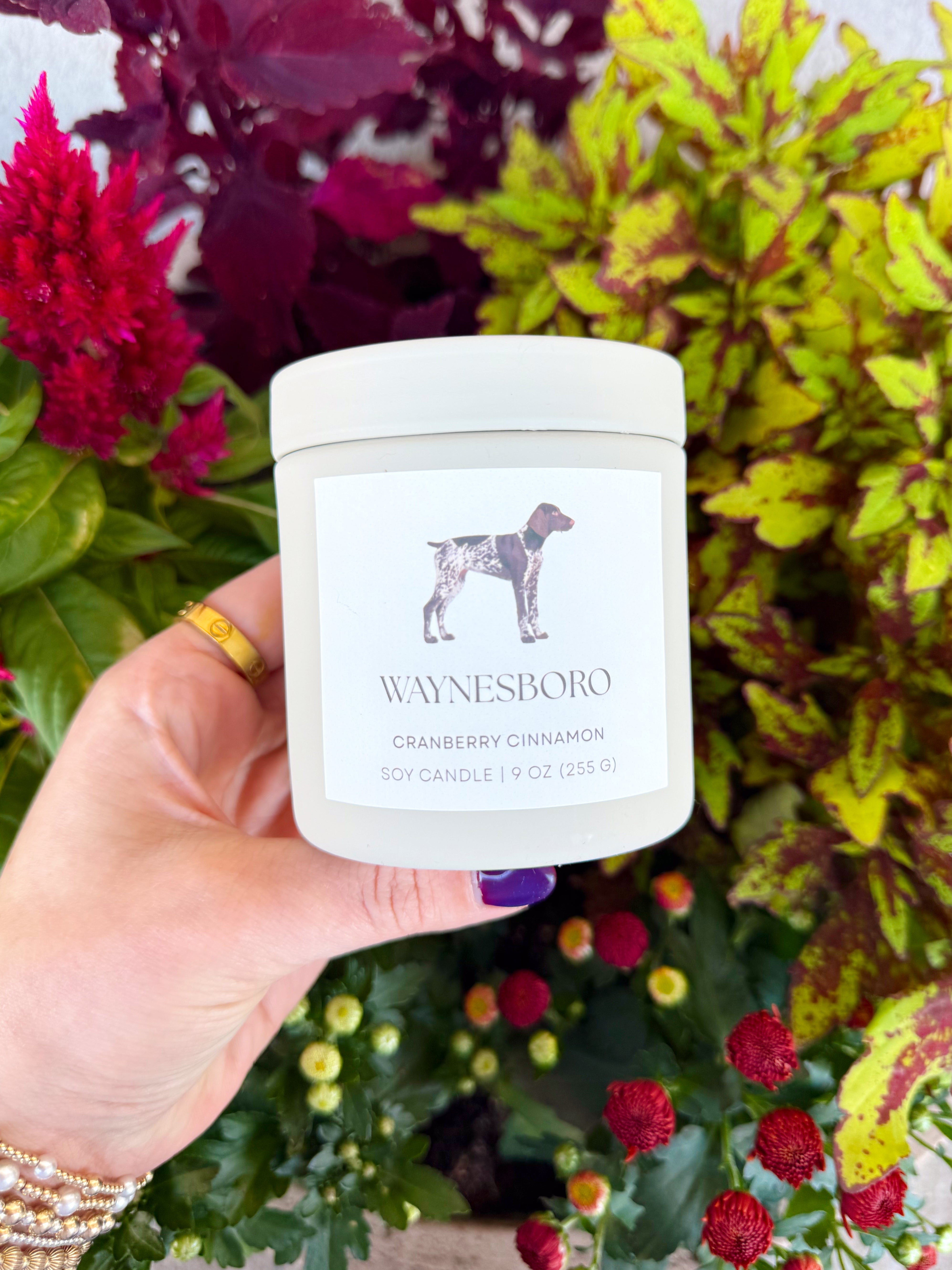 Waynesboro 9 oz Candle in Cranberry Cinnamon