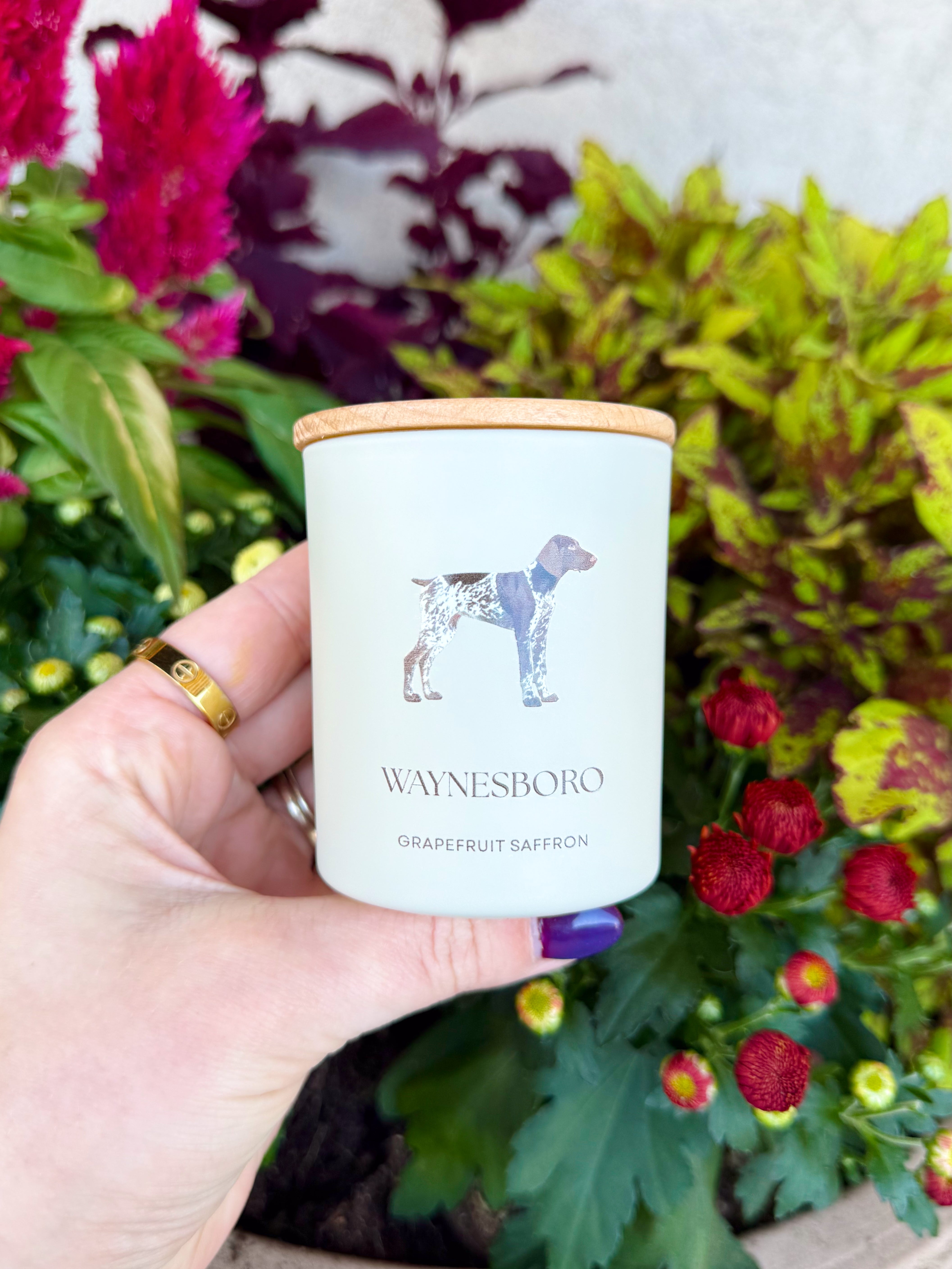 Waynesboro Travel Candle in Grapefruit Saffron