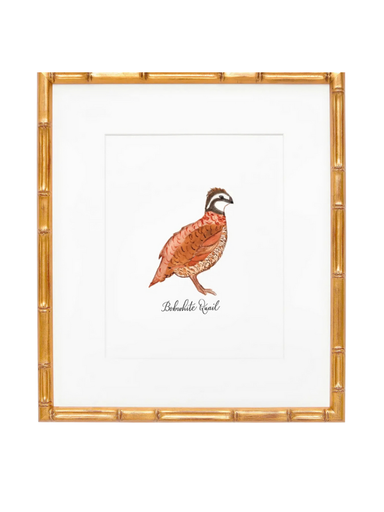 8x10 Bobwhite quail nature watercolor print art decor