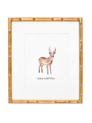 8x10 white-tailed deer nature print art decor