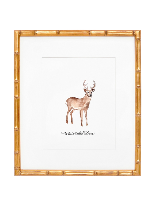8x10 white-tailed deer nature print art decor