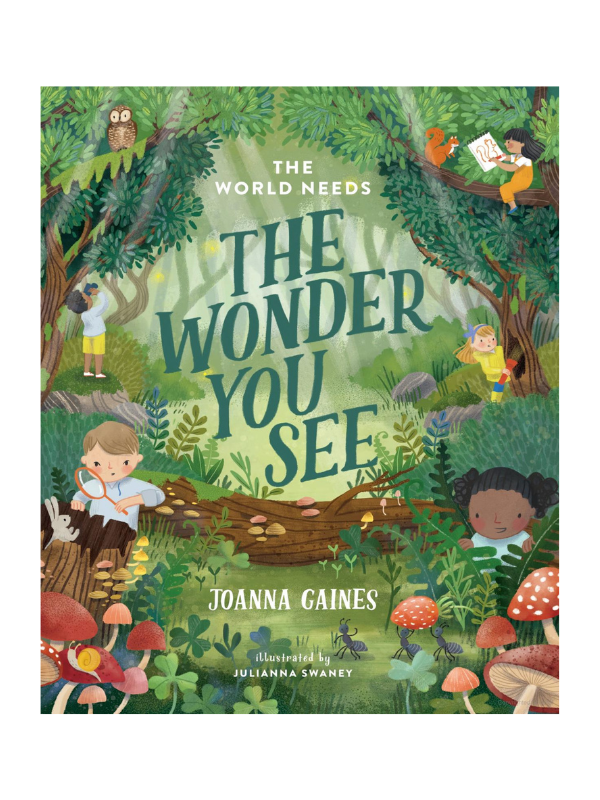 The Wonder You See By Joanna Gaines