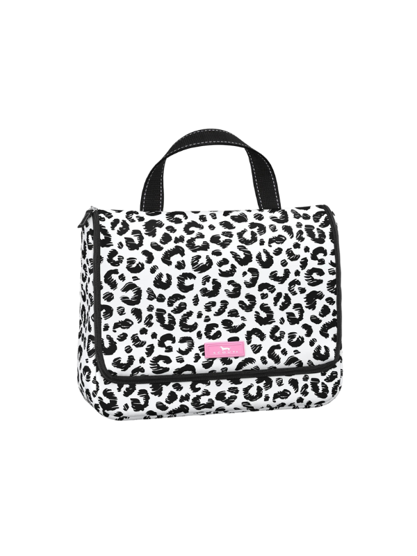 Cat Skills Beauty Gordito By Scout